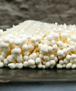 Buy Enoki Mushroom (Enokitake) online