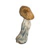 Buy Big Mexicana Magic Mushrooms