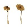 Buy Blue Magnolia Rust Mushrooms