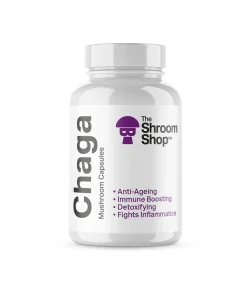 Buy Chaga Mushroom Capsules online