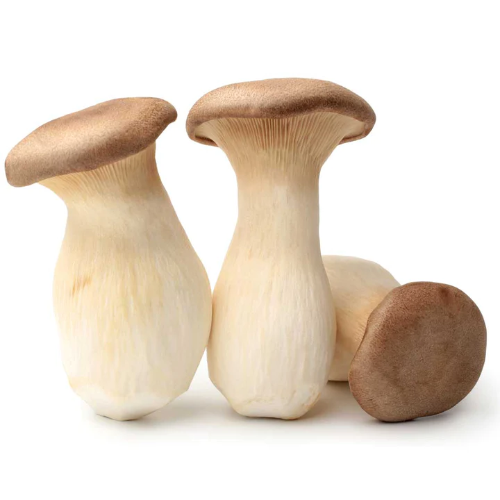 Buy King Trumpet Mushrooms-Bend Buy King Trumpet Mushrooms-Bend
