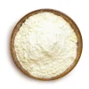 Buy Maitake Mushroom Powder Organic