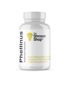 Buy Phellinus Mushroom Capsules online
