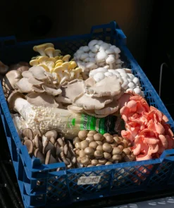 The Big BBQ Mix (1.5KG) Bend