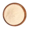 Buy Tail Mushroom Powder Organic