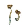 Buy Texas Yellow Cap Mushroom online