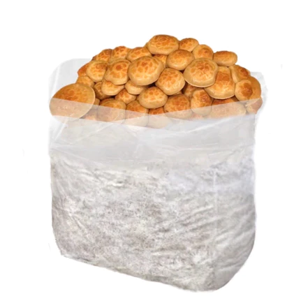 Buy Organic Nameko Mushroom Grow Kit Buy Organic Nameko Mushroom Grow Kit