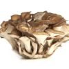 Buy Maitake AKA “Hen of The Woods” (Grifola frondose)