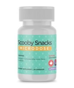 Buy Scooby Snacks Shroom Microdose Deadhead Chemist
