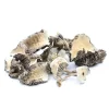 Buy White Burma Mushroom online