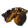Buy Chaga mushroom online