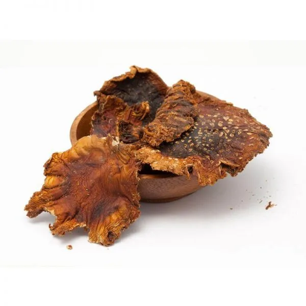 Natural Amanita Muscaria Mushroom Buy Amanita Muscaria Mushroom online