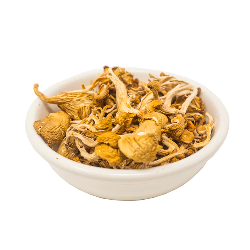 Order Magic Mushroom Online In Oregon