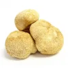 buy lion's mane mushroom online