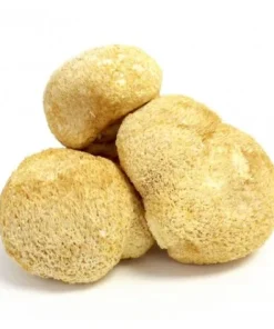 buy lion's mane mushroom online