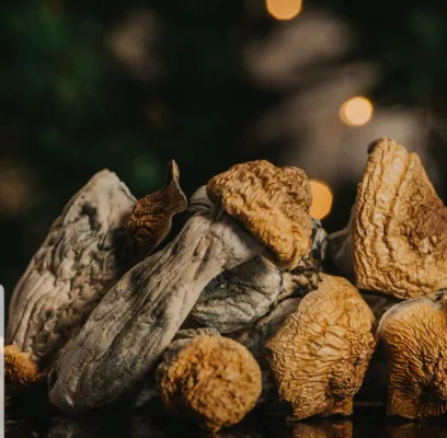 Buy Dry Mushrooms In Bend Oregon